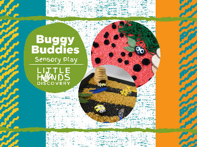 Kidcreate Studio - Woodbury. Buggy Buddies Sensory Play (12 months-6 Years)